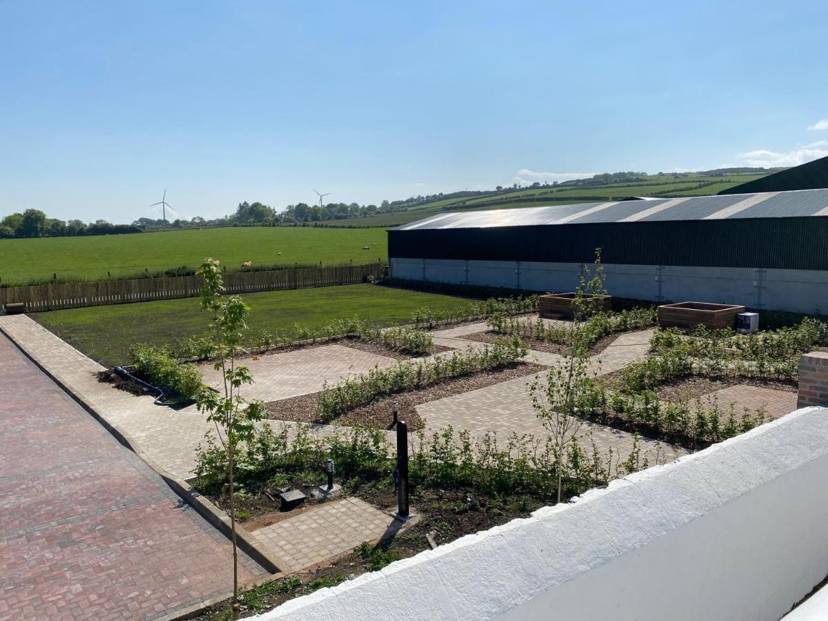 Ballymullock Barn Lofts Carncastle المظهر الخارجي الصورة